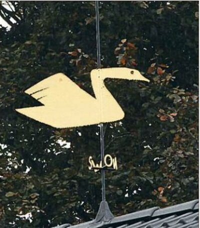 Wetterschwan_Voslapp_BILD_WZ_Knothe